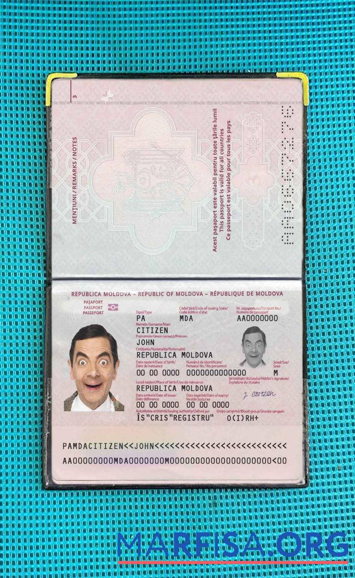 Blank Moldova passport (2014 present) photo look example